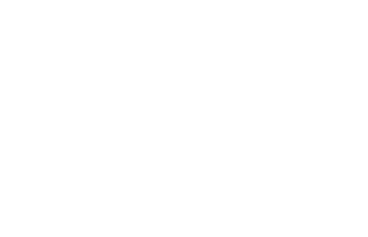 New Web